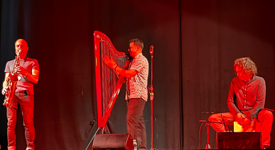 saxyarpa, Arpe Del Mondo, Teatro Electra